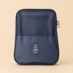 پارتیشن بگ